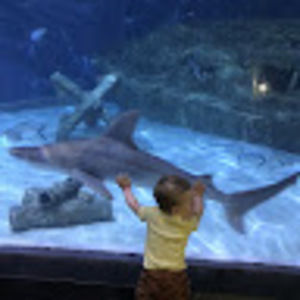 Meet your Posher, Ayley